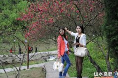 山东伴游：酉阳桃花源-重庆的特色森林公园